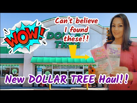Видео: Dollar Tree Haul: потрясающие предложения за $1,25!!