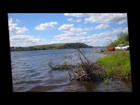 Видео: В Лучников   Речка кама  Любэ   Ты неси мне река