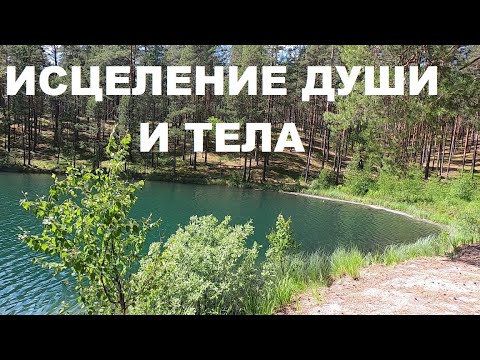 Видео: ПЕНИЕ ЗЯБЛИКОВ,ДРОЗДА И ПЕНОЧКИ ПОДНИМУТ НАСТРОЕНИЕ,УБЕРУТ ТРЕВОГУ И ХАНДРУ.ОЗДОРОВЛЕНИЕ ОРГАНИЗМА.
