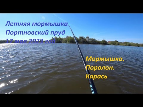 Видео: Летняя мормышка. Портновский пруд.  Карась на мормышку с поролоном.