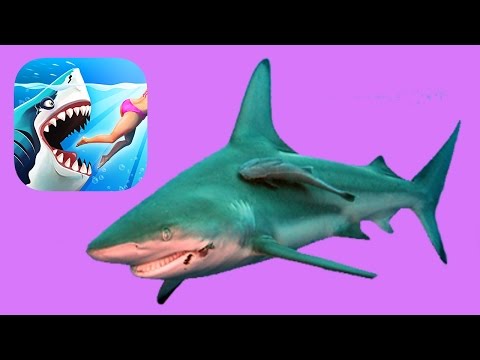 Видео: Hungry Shark World - Открываю новую акулу | РИФОВАЯ АКУЛА, Прохождение игры