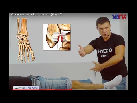Видео: Как работать со СТОПОЙ? (Часть 2)