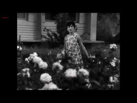 Видео: Копия видео Греческий ансамбль Бузуки в Ташкенте