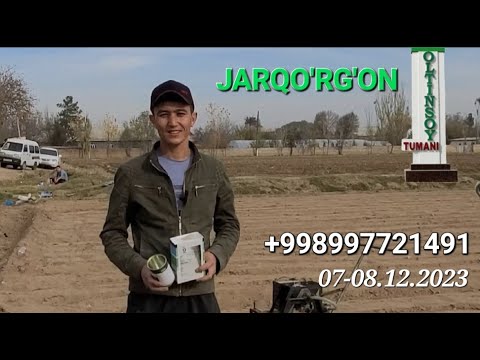 Видео: Sabzi ekish Surxondaryo/ Сабзи экиш Сурхондарё 07-08.12.2023
