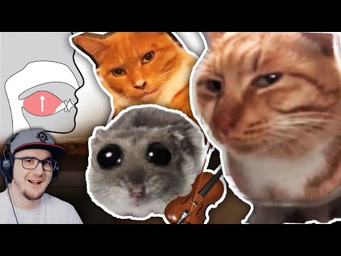 Видео: ЧТО ЗА МЕМЫ? ► МЬЮИНГ🤫🧏‍♂️, КОТ СМОТРИТ, ГРУСТНЫЙ ХОМЯК😢 — ОТКУДА МЕМ? ( Небуди ) | Реакция