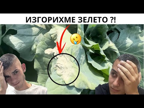 Видео: ГРЕШКА ПРИ ПРЪСКАНЕ