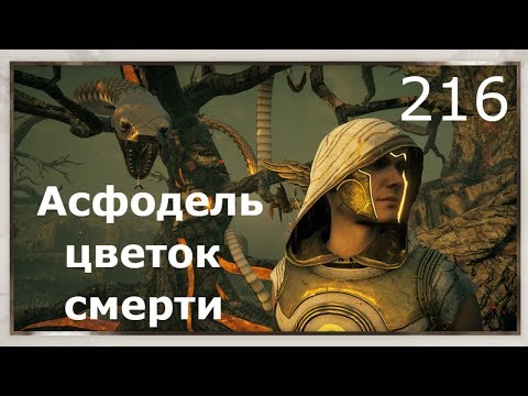 Видео: ASSASSIN’S CREED: Odyssey \ Одиссея (КОШМАР) ➤ Прохождение #216 ➤ Асфодель - цветок смерти