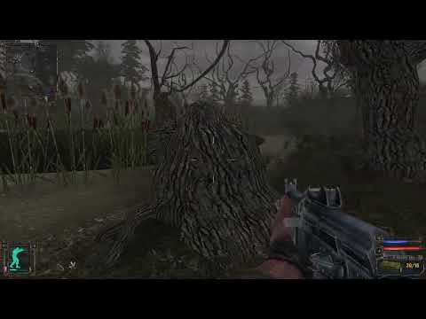 Видео: сталкер история путника загадка чёрного озера финал