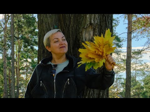 Видео: Размер 48 - 50  | Обзор одежды в прямом эфире