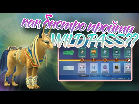 Видео: КАК БЫСТРО ПРОЙТИ ВЕСЬ WILD PASS в WildCraft??🤩