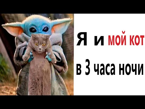 Видео: Приколы! Я И МОЙ КОТ В 3 ЧАСА НОЧИ - МЕМЫ!!! Смешные видео от – Доми шоу!