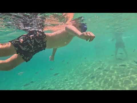 Видео: 25 юли 2025 г.