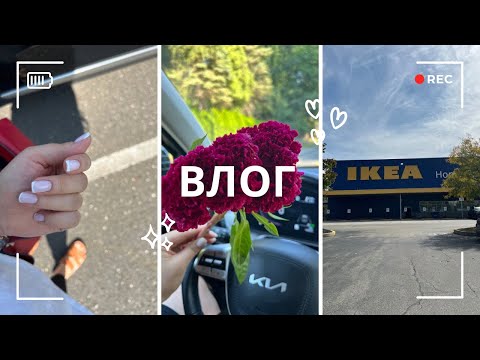 Видео: ВЛОГ #31: ПОДГОТОВКА КО ДНЮ РОЖДЕНИЮ ДОЧКИ/К НАМ ЛЕТИТ ВАЖНЫЙ ГОСТЬ🥰/ИКЕА #влоги #каринавсша