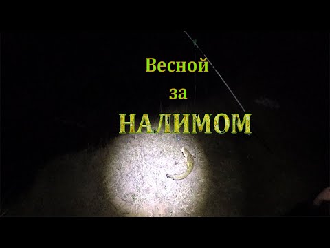 Видео: Еду за налимом. Весна.