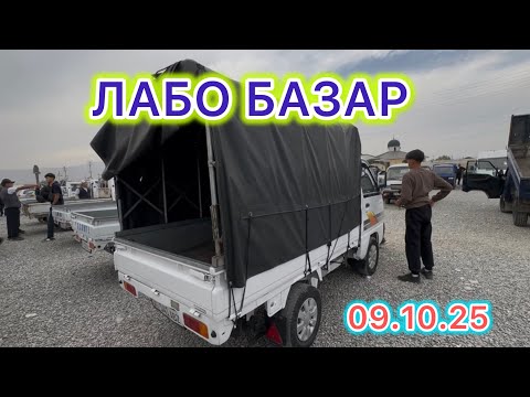 Видео: БИР АТ🐎 ЖҮКТӨЙСҮҢӨР КЕТЕ БЕРЕСИҢЕР