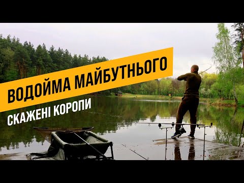 Видео: ЕПІЧНА БИТВА З КОРОПАМИ! ВОДОЙМА МАЙБУТНЬОГО