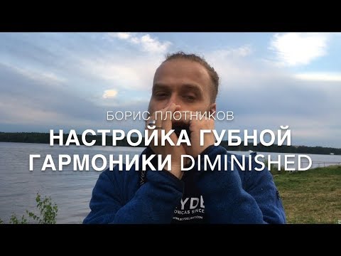 Видео: Как играть на губной гармошке: настройка диминишд (diminished)