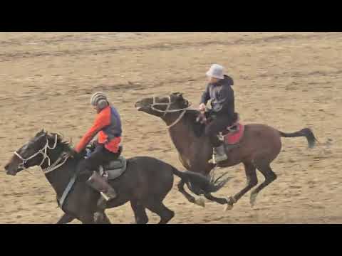 Видео: Бузкаши Ч Балхи Шахраки Гулистон 1 11 2025 кисми 1