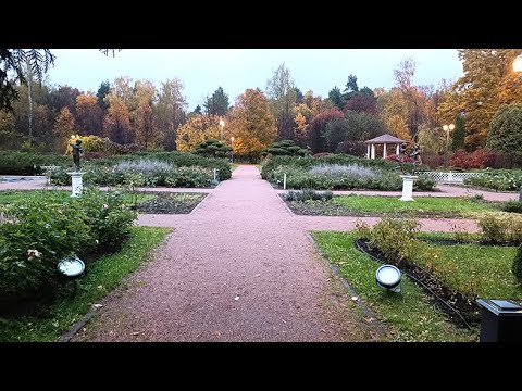 Видео: Осенние краски розария в Сокольниках