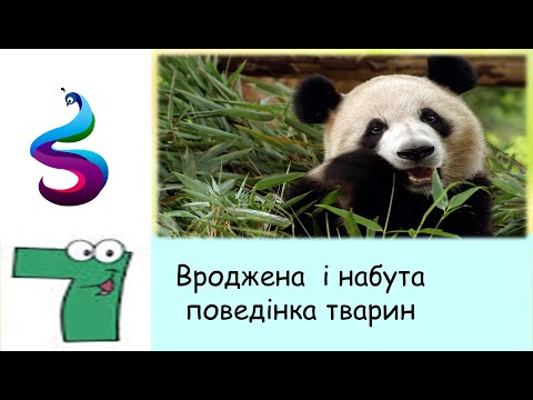 Видео: Вроджена  і набута поведінка тварин