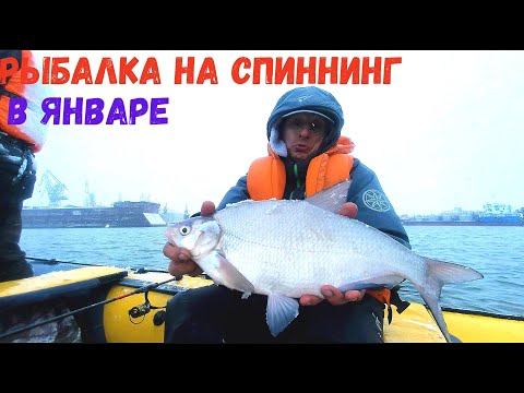 Видео: ПЕРВАЯ РЫБАЛКА НА СПИННИНГ В ЯНВАРЕ