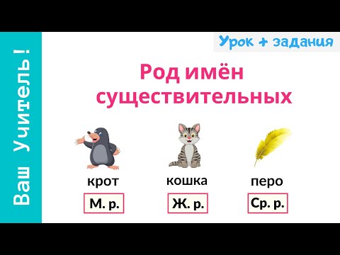 Видео: Род имен существительных. Как определить род существительных?