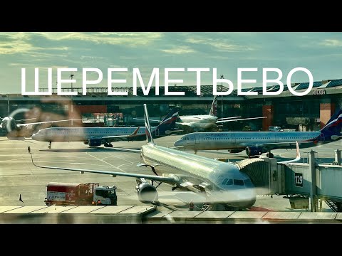 Видео: Аэропорт Шереметьево: где поесть, отдохнуть перед рейсом и погулять