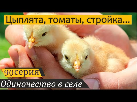 Видео: Цыплята "Ленинский отряд" и непредвиденный долгострой гусятника. Одиночество в селе, серия 90