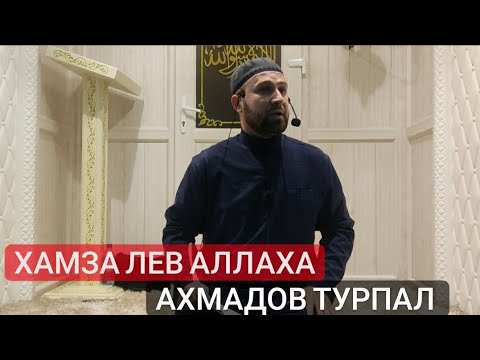 Видео: Хьехам (Делан Лом Хьамзат)