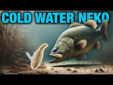 Видео: Полное руководство по осенней рыбалке на оснастку Neko (4 ключевых совета)