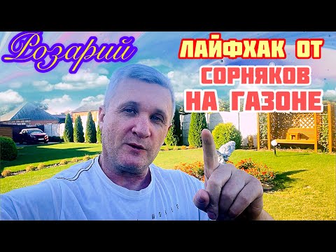 Видео: ЛАЙФХАК сорняки на газоне / Обзор розария /готовим БАРБЕКЮ