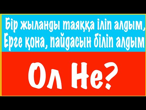 Видео: Ең Қиын Жұмбақтар #4