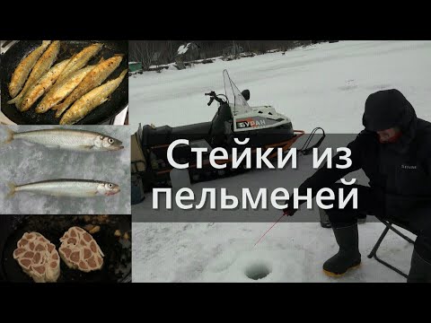 Видео: Стейки из пельменей/Губа лося/Зимняя рыбалка Команды "Лефу" в Советской Гавани /#2