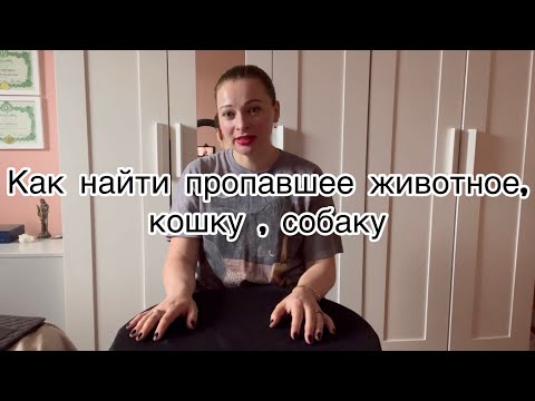 Видео: Пропал кот / Магический ритуал / Как найти пропавшее животное / Пропала кошка / что делать