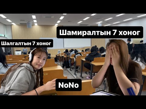 Видео: Шамиралтын 7 хоног 🥹 l Seoul Women's university Солонгос дахь оюутны влог🎀