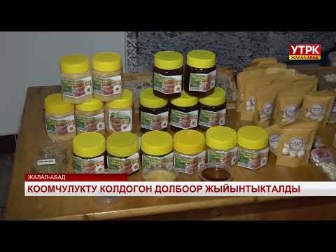 Видео: Коомчулукту колдогон долбоор жыйынтыкталды