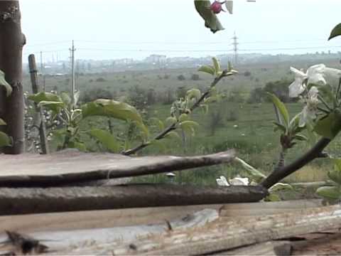 Видео: Катерлезский монастырь