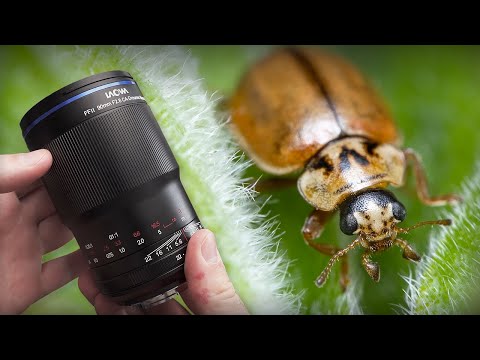 Видео: Обзор объектива Laowa 90mm – новый король макрофотографии?