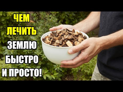 Видео: ЗЕМЛЯ СТАНЕТ ЖИВОЙ УЖЕ ЧЕРЕЗ 15 ДНЕЙ! ЭТО ЛУЧШЕ ЛЮБЫХ УДОБРЕНИЙ – ПРОВЕРЬ САМ!