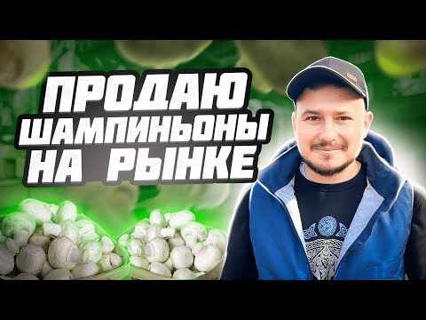 Видео: Сколько можно заработать за день, на продаже грибов и шампиньонов на рынке