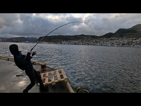 Видео: Сквадроны этого не боятся. Поедет в Осло. Надо накатить.
