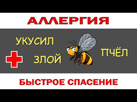 Видео: Ужалила пчела! Анафилактический шок! Что делать, если скорая не скорая?