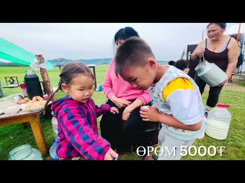 Видео: ТУУЛ ГОЛ /НААДАМ/ - МИНИ БОЛОООГ6 tuul gol /naadam/ - mini bolooog6