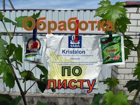 Видео: Виноград .Вторая профилактическая обработка от болезней .