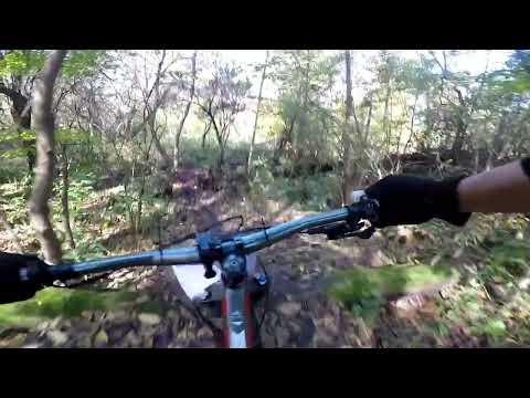 Видео: 20 октября 2025 г.