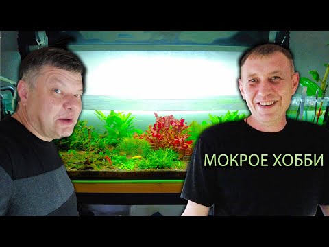 Видео: МОКРОЕ ХОББИ