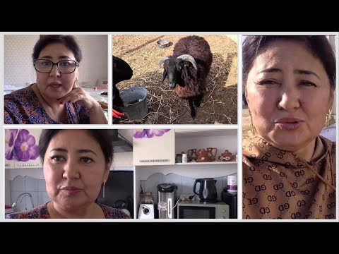 Видео: Vlog.Кешкі асқа не пісірем деп күнде қайталанады.