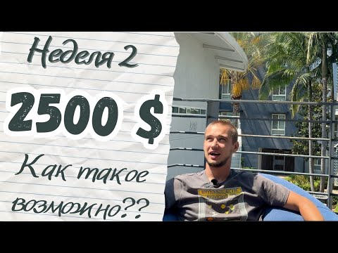 Видео: $2500 за неделю в доставке. Что осталось после трат? | Неделя 2