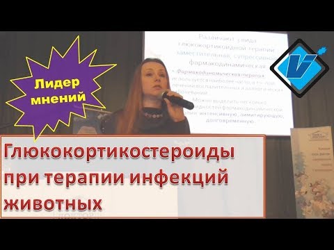 Видео: Применение глюкокортикостероидов в терапии собак и кошек с инфекционным болезнями.