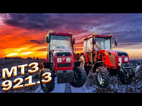 Видео: Самый узкий и низкий трактор Беларус 921.3